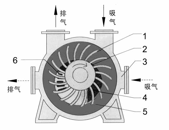 2BE1水环式安博（中国）结构图